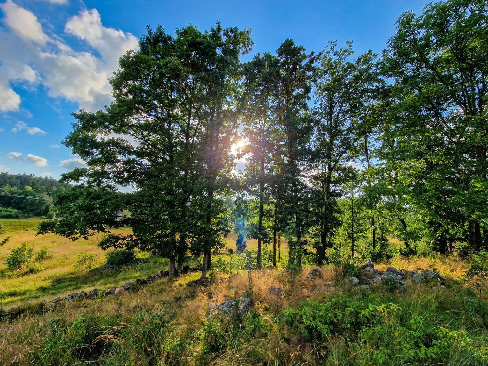 Wild Lodge Nol Экстерьер фото