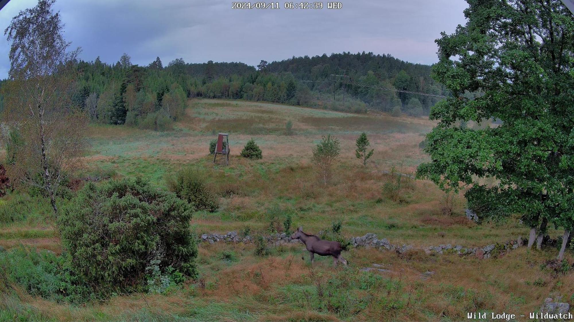 Wild Lodge Nol Экстерьер фото