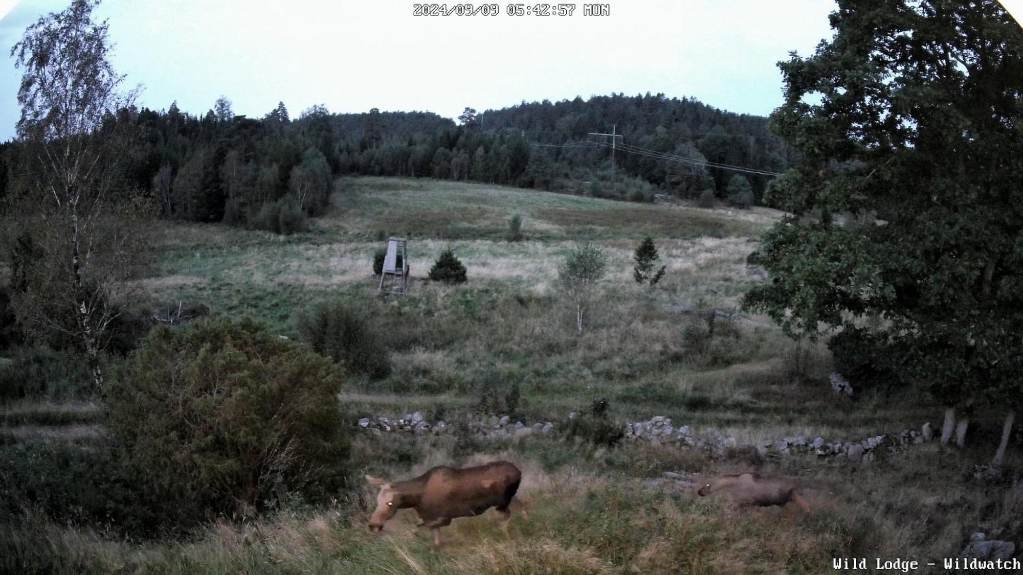 Wild Lodge Nol Экстерьер фото