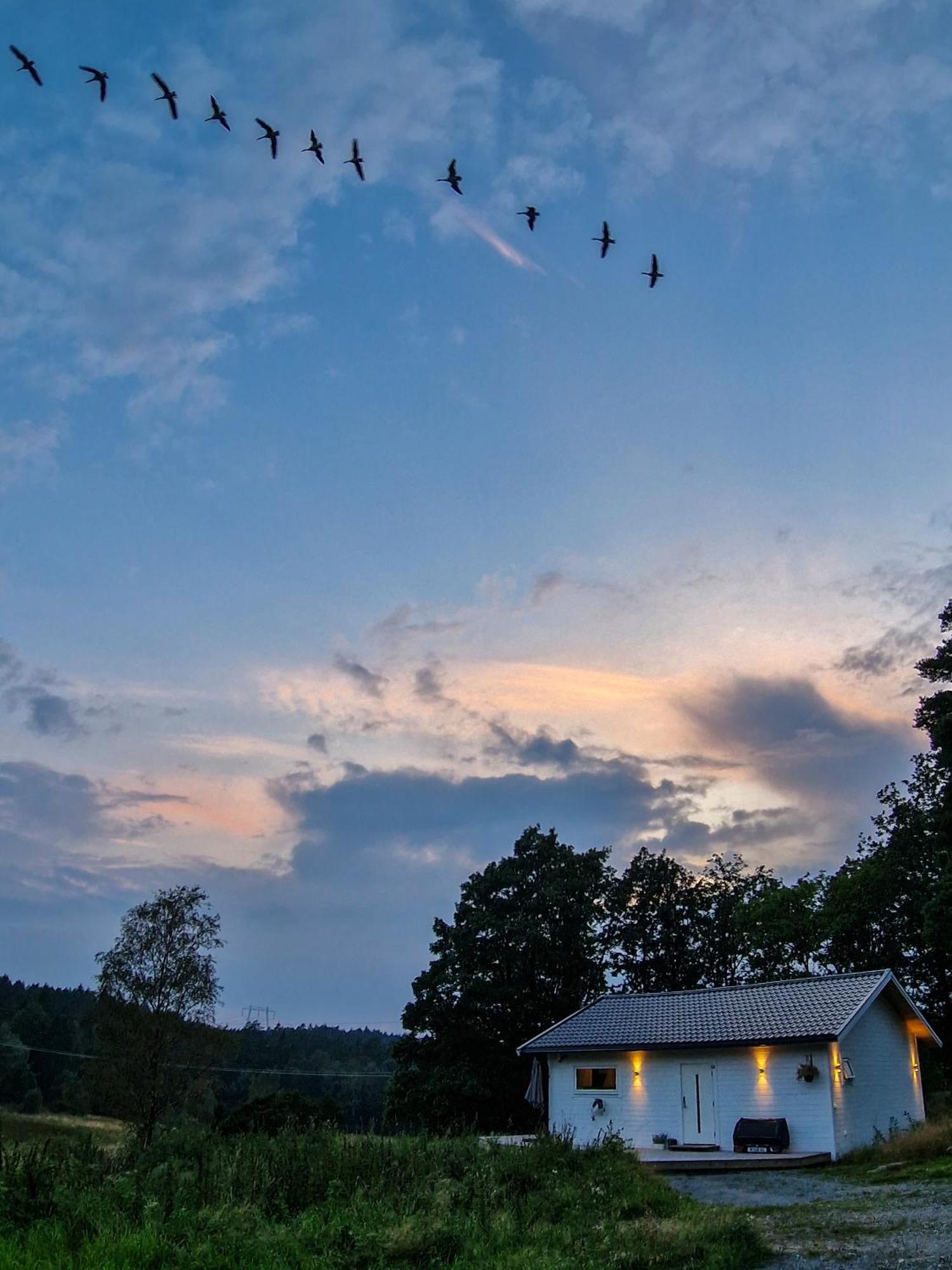 Wild Lodge Nol Экстерьер фото